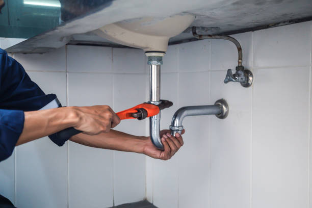 Best Commercial Plumbing Services  in Delafield, WI